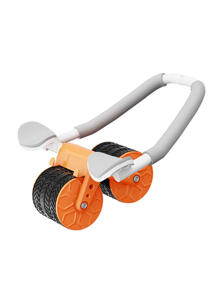 Fitness Abs Wheel Roller